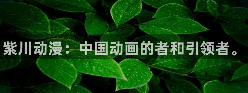 里番监禁动漫在线观看：紫川动漫：中国动画的者和引领者。配图