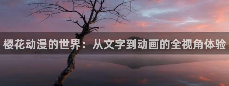 里番卡通动漫在线观看：樱花动漫的世界：从文字到动画的全视角体验配图