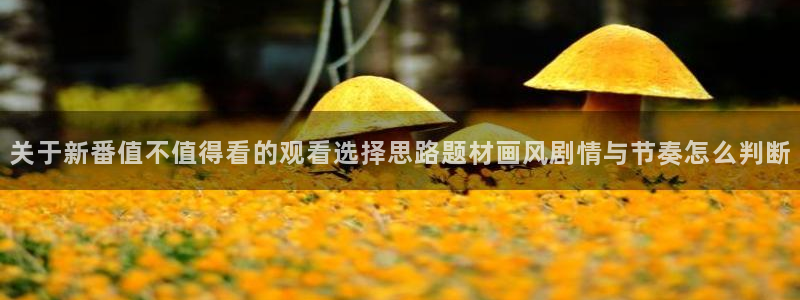 成年动漫在线观看番里：关于新番值不值得看的观看选择思路题材画风剧情与节奏怎么判断配图