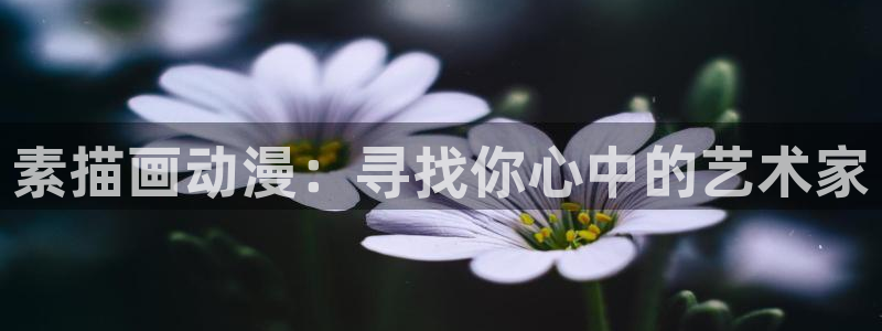 秘汤动漫在线观看里番：素描画动漫：寻找你心中的艺术家配图