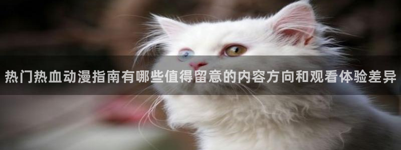 里番动漫在线观看网站：热门热血动漫指南有哪些值得留意的内容方向和观看体验差异配图