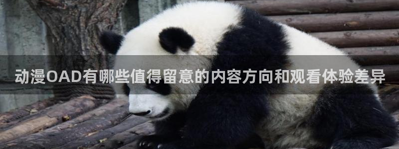 成年动漫在线观看番里：动漫OAD有哪些值得留意的内容方向和观看体验差异配图