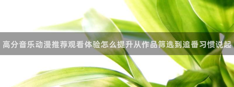 里动漫番在线观看:高分音乐动漫推荐观看体验怎么提升从作品筛选到追番习惯说起配图