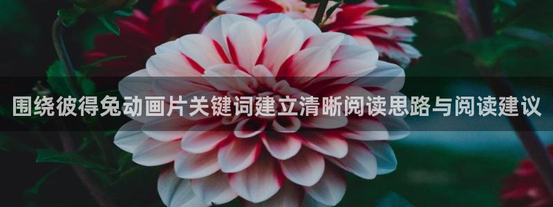 里番美晴动漫在线观看:围绕彼得兔动画片关键词建立清晰阅读思路与阅读建议配图