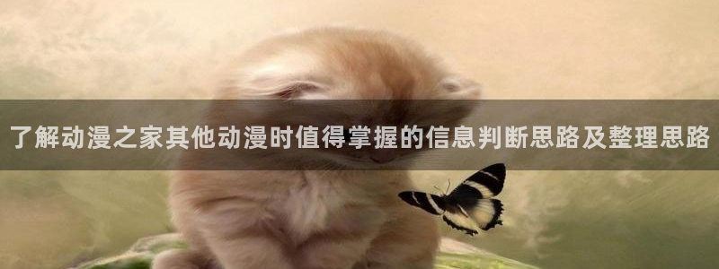 里番午夜动漫在线观看:了解动漫之家其他动漫时值得掌握的信息判断思路及整理思路配图