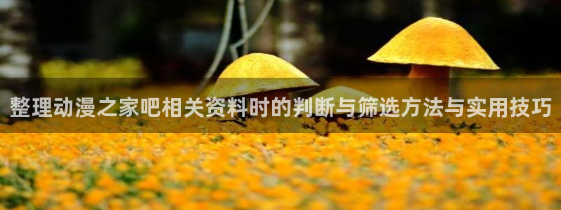 旧旧里番动漫在线观看:整理动漫之家吧相关资料时的判断与筛选方法与实用技巧配图
