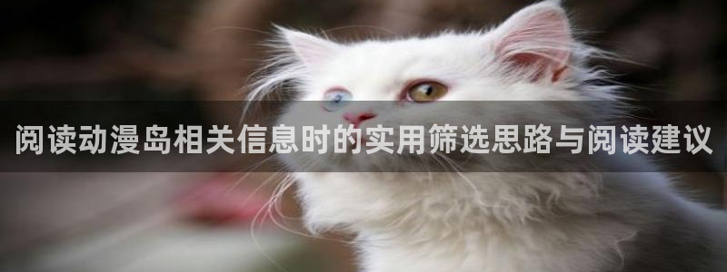 中文里番动漫在线观看:阅读动漫岛相关信息时的实用筛选思路与阅读建议配图