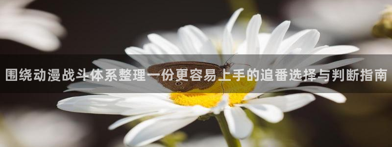 里番暴力动漫在线观看:围绕动漫战斗体系整理一份更容易上手的追番选择与判断指南配图