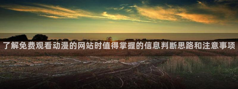 中文里番动漫在线观看:了解免费观看动漫的网站时值得掌握的信息判断思路和注意事项配图
