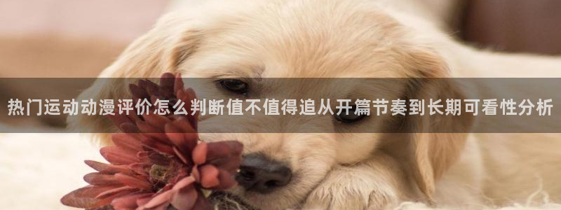 熟肉里番动漫在线观看:热门运动动漫评价怎么判断值不值得追从开篇节奏到长期可看性分析配图