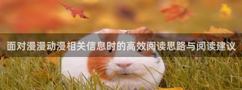 工口动漫里番在线观看:面对漫漫动漫相关信息时的高效阅读思路与阅读建议配图