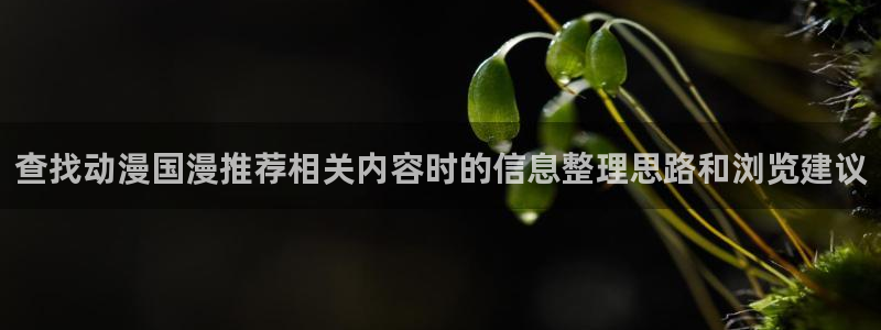 里番复仇动漫在线观看:查找动漫国漫推荐相关内容时的信息整理思路和浏览建议配图
