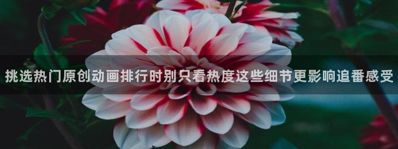 里番卡通动漫在线观看:挑选热门原创动画排行时别只看热度这些细节更影响追番感受配图