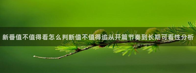 各种里番动漫在线观看：新番值不值得看怎么判断值不值得追从开篇节奏到长期可看性分析配图